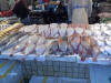 Photos of fish market in Dalian China
