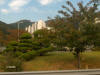 scenery Busan