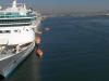 picture of docked cruise ships