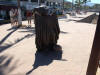 pictures of statues on the beach in Puerto Vallarta