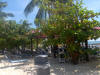 caribbean beach picture