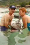 Dolphin photograph